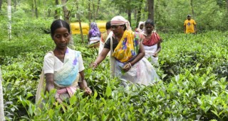 किसान र उद्योगीले अर्गानिक प्रमाणीकरण र नवीकरणका लागि सरकारसँग  गरे आग्रह