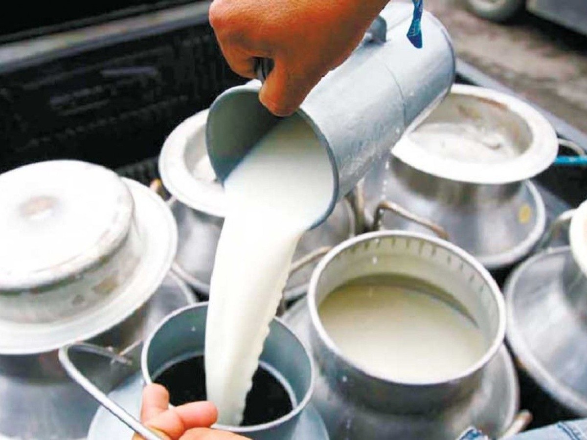 दलित समुदायले उत्पादन गरेको दूध बिक्री गर्न गाह्रो