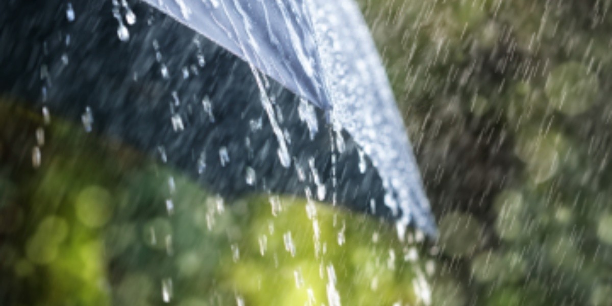 Weather: rainfall along with thunder and lightning