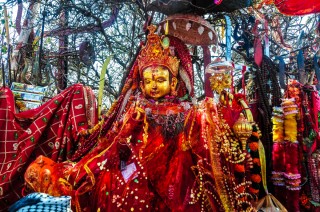 पाथीभराको दर्शन आजदेखि खुल्ला