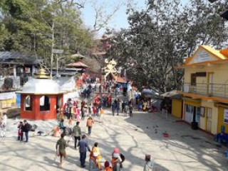 हलेसीमा दुई सातामा ४ लाख ४३ हजार भेटी संकलन