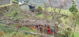 विद्यालयमा किवी खेतीसहित विद्यार्थी अध्ययन गर्दै