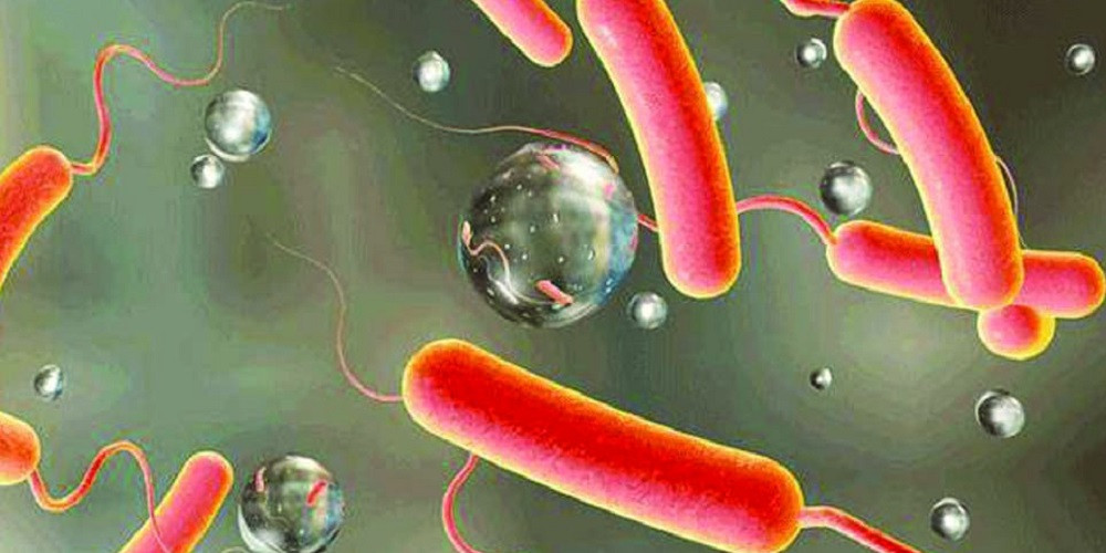 Valley reports three more cases of cholera