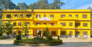 चितवन राष्ट्रिय निकुञ्जमा एक वर्षमा ३६ गैँडा मरे