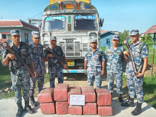सशस्त्र प्रहरीद्वारा करीब १४४ केजी गाँजा बरामद