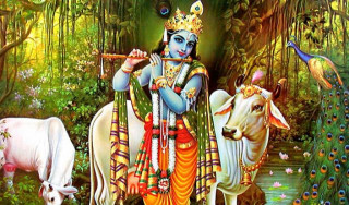 आजको राशिफल : २०७९ पुष १३ गते बुधबार