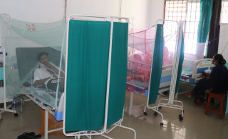 धादिङमा दैनिक डेङ्गुका बिरामी अस्पताल भर्ना