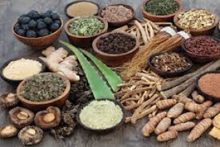 आयुर्वेदिक उपचारमा बढ्दो आकर्षण