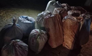 मोरङ प्रहरीद्वारा तीन सय किलो गाँजा बरामद
