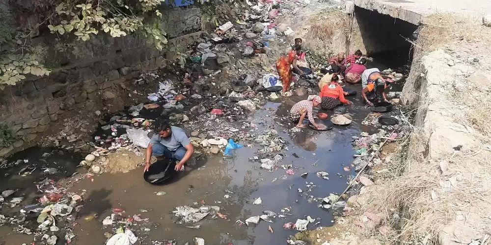 फोहरमा पनि सुन फल्छ !
