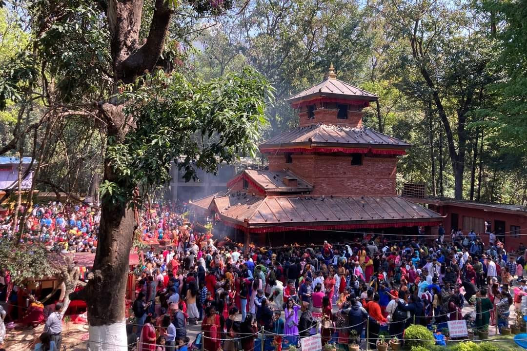 हराउँदै चैते दसैँको मौलिकता