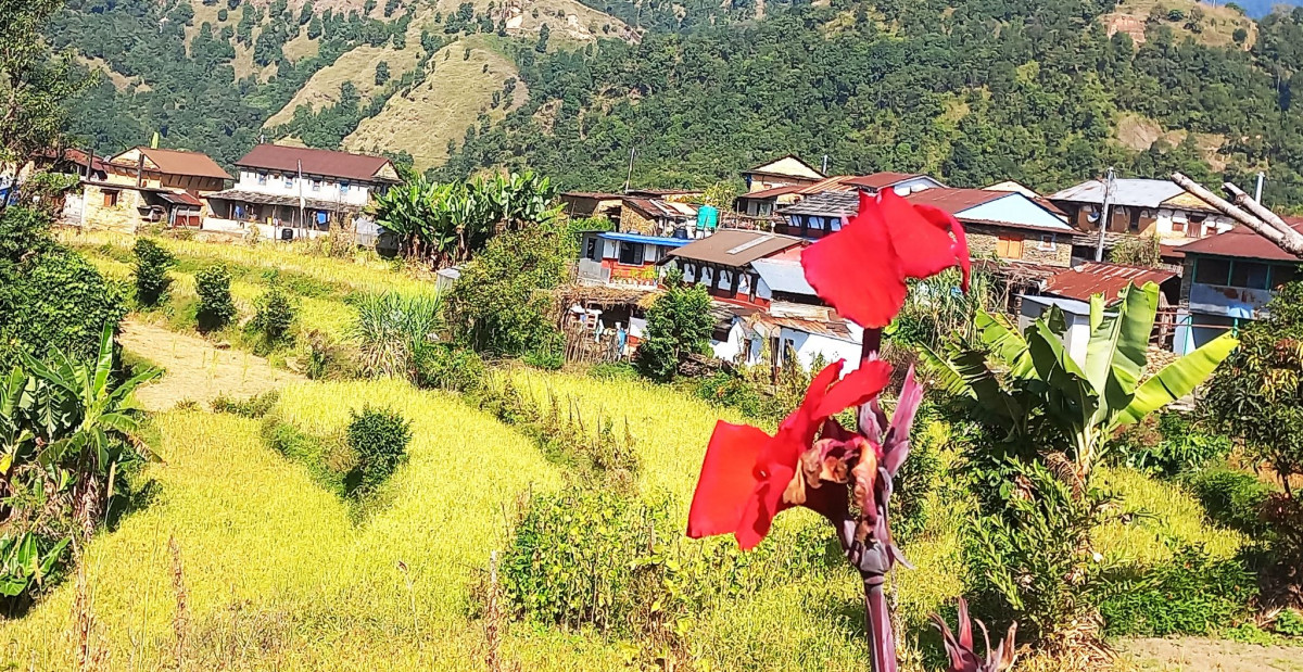 महानगरबासीलाई वडा कार्यालय पुग्नै सास्ती