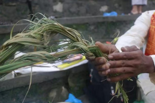 आज कुशे औँसी, पितृ सम्मान दिवस मनाइदै