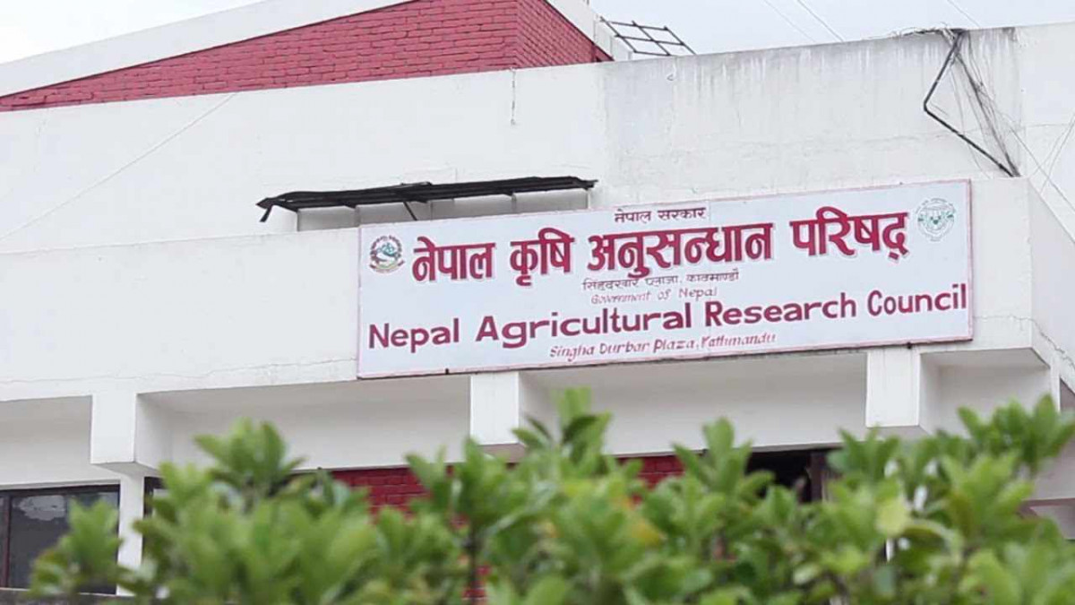 नार्कले कृषि क्षेत्रका मुख्य समस्या समाधानको लागि रुपान्तरणकारी परियोजना ल्याउँदै