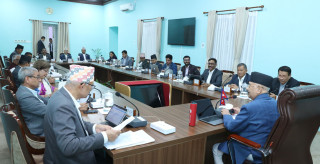 जलनका बिरामीको निःशुल्क उपचार गर्ने सरकारको निर्णय