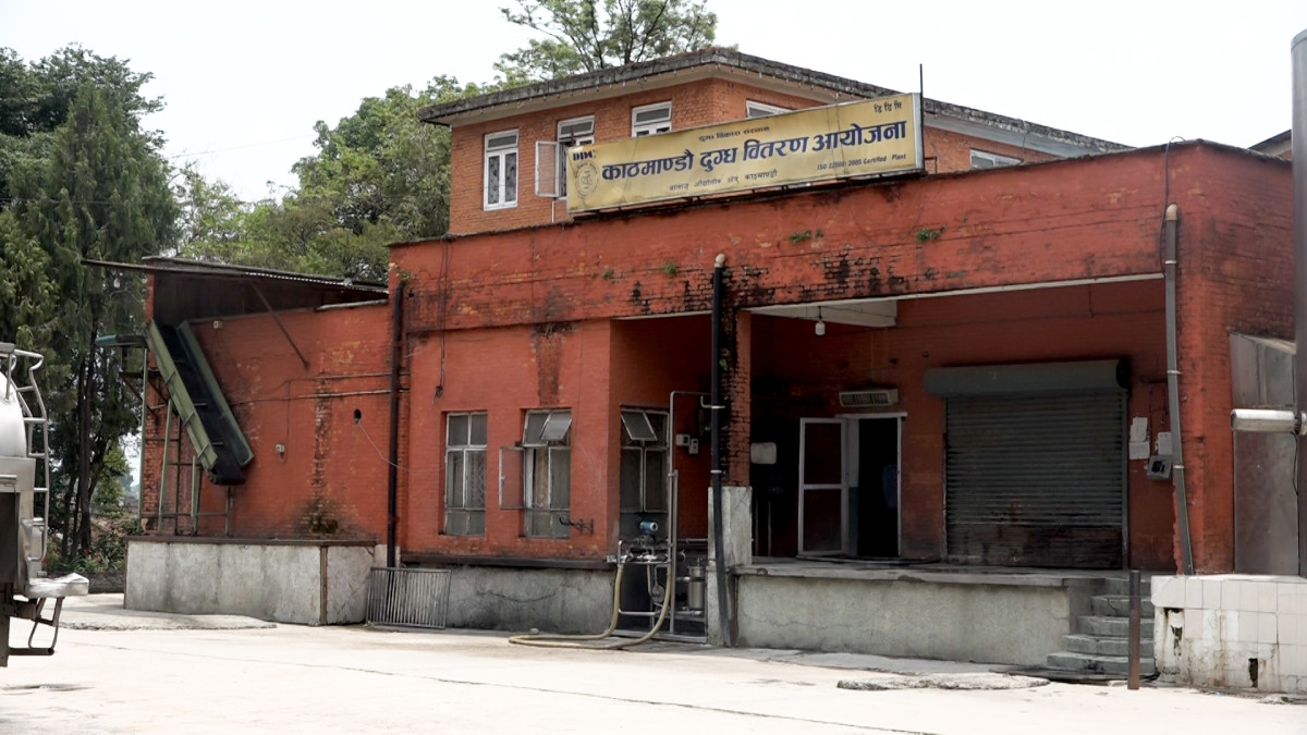 ६ सय मेट्रिक टन दुग्ध पदार्थको मूल्य समायोजन गरेर विक्री गर्ने तयारीमा डीडीसी