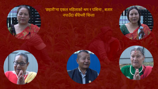 सुनाकोठीमा एकल महिलाहरुको ‘छहारी’:जहाँ फस्टाएको छ अर्गानिक उत्पादन