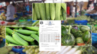 हरियो फर्सी, घिरौंला र काक्रोमा भेटियो अत्याधिक विषादी
