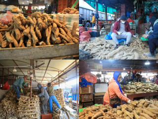 माघेसंक्रान्ति नजिकिँदै गर्दा कालीमाटीमा तरुल किनबेचको चहलपहल (तस्बिरहरू)