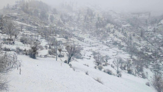 मुगुमा फेरि हिमपात, बस्ती सेताम्य, किसानलाई राहत (तस्विरहरुसहित)