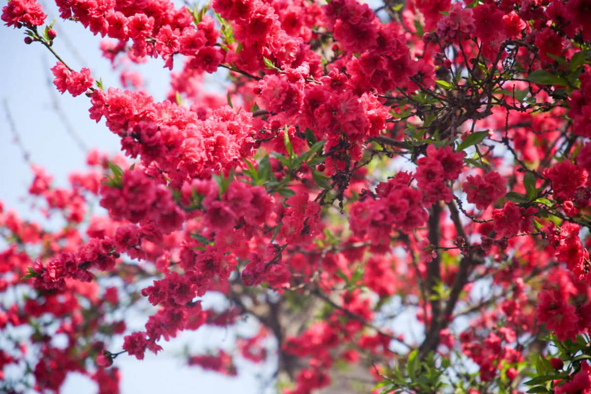photo-13_cd1003ed.png