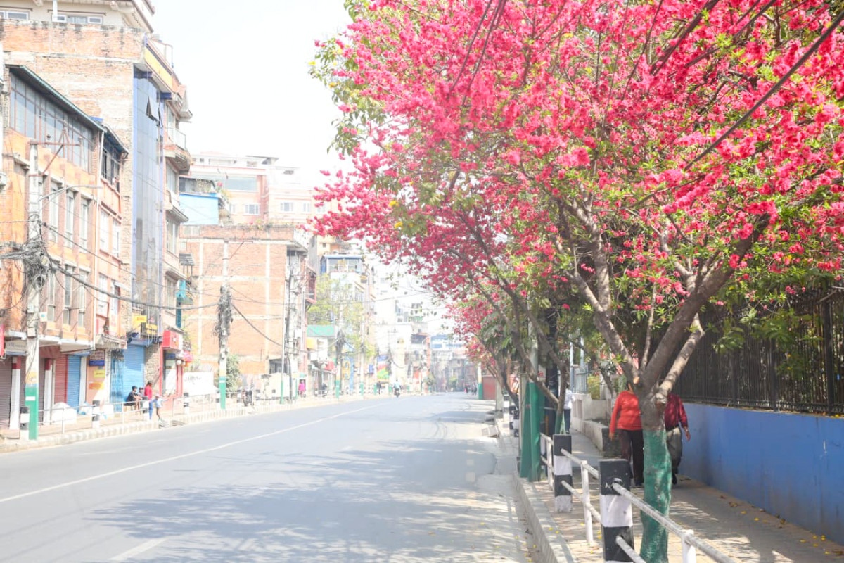 photo-7_7fc57528.png