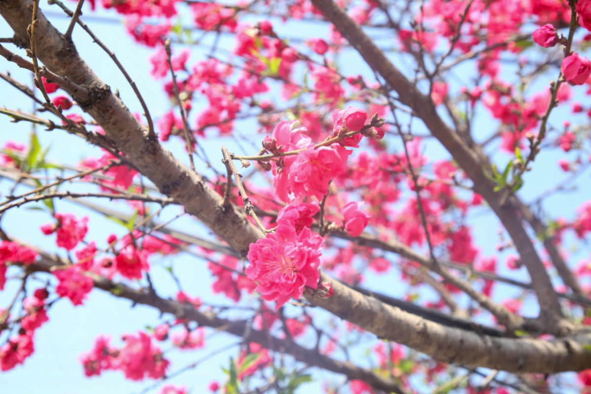 photo-4_98db888c.png