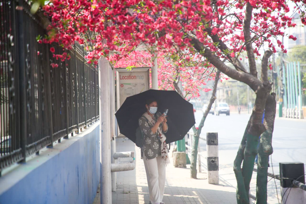 photo-2_6194299f.png