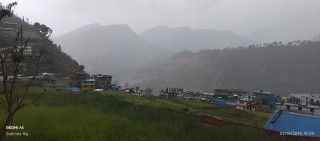 बाजुरामा हावाहुरी र असिनापानीले किसानको बालीमा क्षति