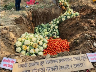 तरकारीमा अत्यधिक बिषादी भेटिएपछि कडाई