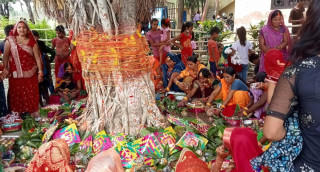 मिथिलाञ्चलमा आज वटसावित्री पर्व मनाइँदै