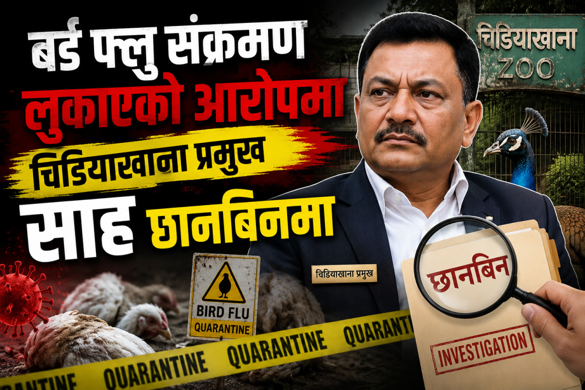 बर्ड फ्लु संक्रमण लुकाएको आरोपमा चिडियाखाना प्रमुख साह छानबिनमा