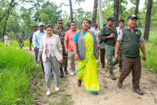 देवनगरमा ५० हेक्टरको 'टाइगर सेन्चुरी' बनाएर  समस्याग्रस्त बाघ व्यवस्थापन गर्ने सरकारको तयारी