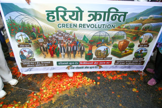 उचित मूल्य नपाएपछि किसानले सडकमा गोलभेँडा फाले (तस्बिरसहित)